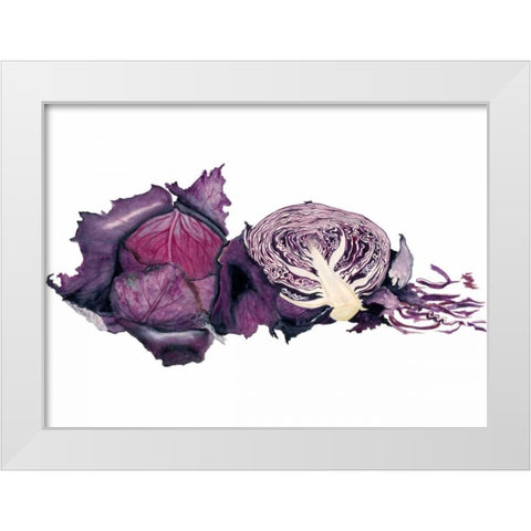 Watercolor Purple Cabbage White Modern Wood Framed Art Print by Willett, Michael