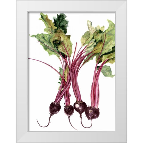 Watercolor Beets White Modern Wood Framed Art Print by Willett, Michael