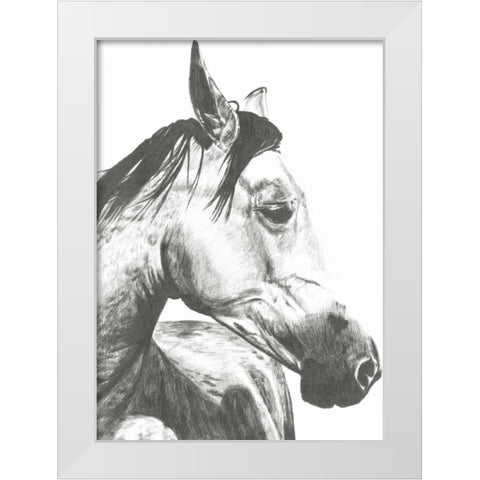 Wildlife Snapshot- Horse II White Modern Wood Framed Art Print by McCavitt, Naomi