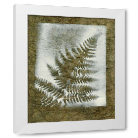 Shadows and Ferns I White Modern Wood Framed Art Print by Stramel, Renee W.