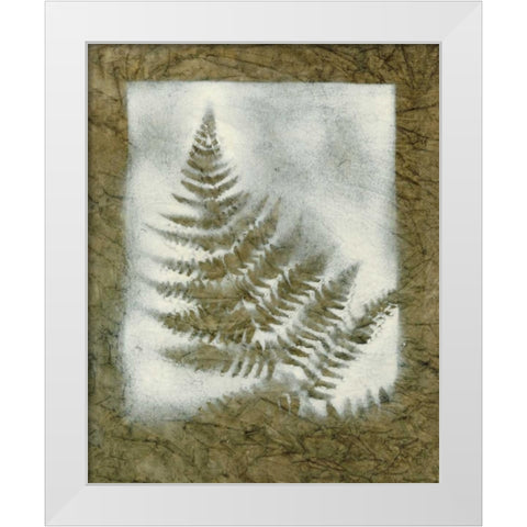 Shadows and Ferns II White Modern Wood Framed Art Print by Stramel, Renee W.