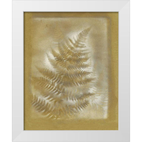 Shadows and Ferns III White Modern Wood Framed Art Print by Stramel, Renee W.