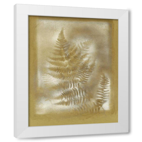 Shadows and Ferns IV White Modern Wood Framed Art Print by Stramel, Renee W.