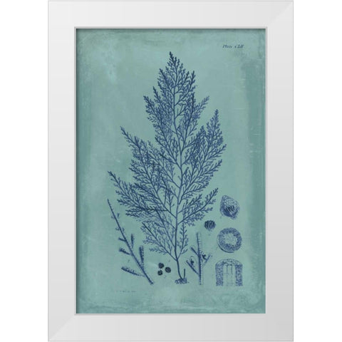 Indigo and Azure Seaweed IV White Modern Wood Framed Art Print by Vision Studio