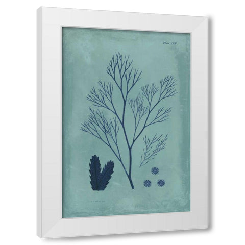 Indigo and Azure Seaweed V White Modern Wood Framed Art Print by Vision Studio