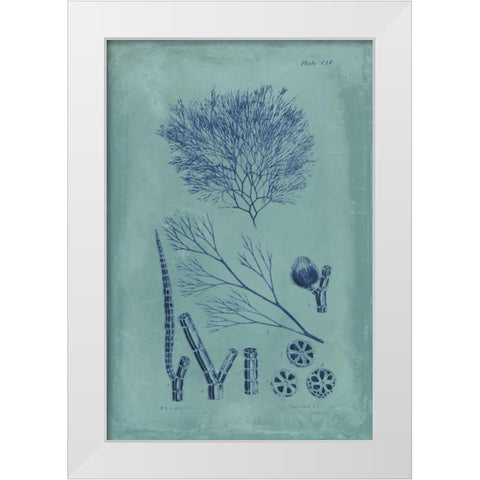 Indigo and Azure Seaweed VI White Modern Wood Framed Art Print by Vision Studio