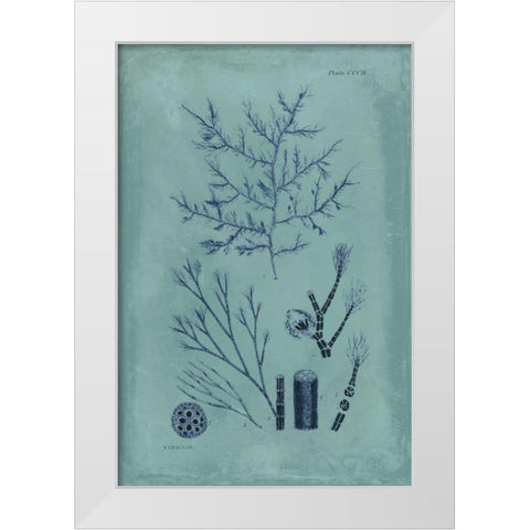 Indigo and Azure Seaweed VIII White Modern Wood Framed Art Print by Vision Studio