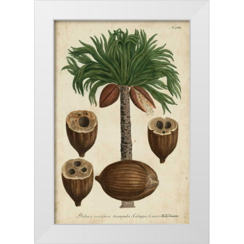 Vintage Tropicals I White Modern Wood Framed Art Print by Weinmann