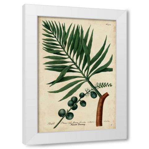 Vintage Tropicals IV White Modern Wood Framed Art Print by Weinmann