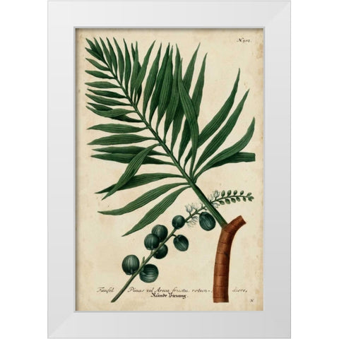 Vintage Tropicals IV White Modern Wood Framed Art Print by Weinmann