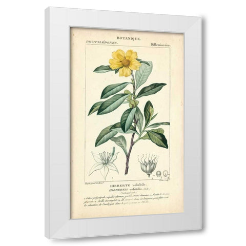 Botanique Study in Yellow I White Modern Wood Framed Art Print by Turpin