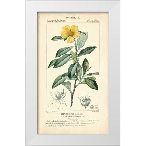 Botanique Study in Yellow I White Modern Wood Framed Art Print by Turpin