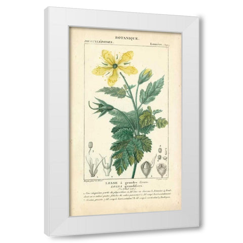 Botanique Study in Yellow IV White Modern Wood Framed Art Print by Turpin