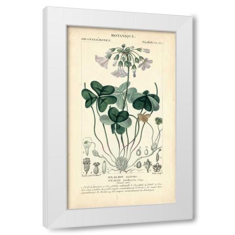 Botanique Study in Lavender I White Modern Wood Framed Art Print by Turpin
