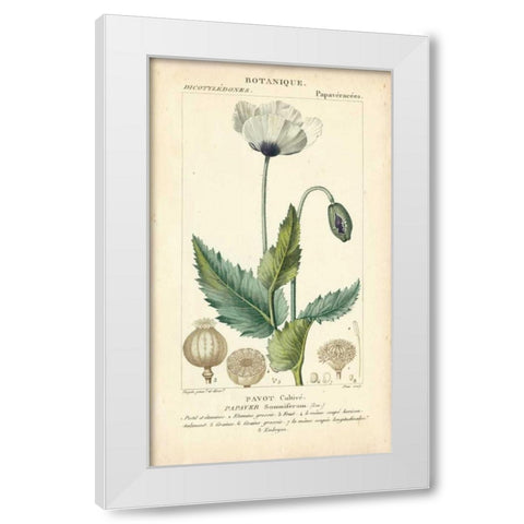 Botanique Study in Lavender II White Modern Wood Framed Art Print by Turpin