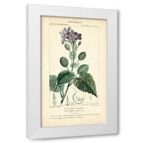 Botanique Study in Lavender III White Modern Wood Framed Art Print by Turpin