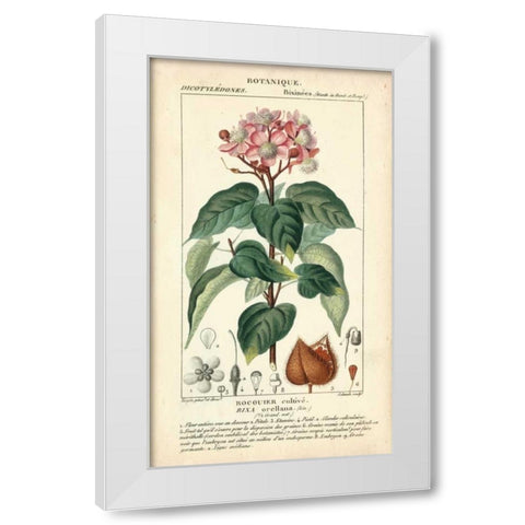 Botanique Study in Pink I White Modern Wood Framed Art Print by Turpin
