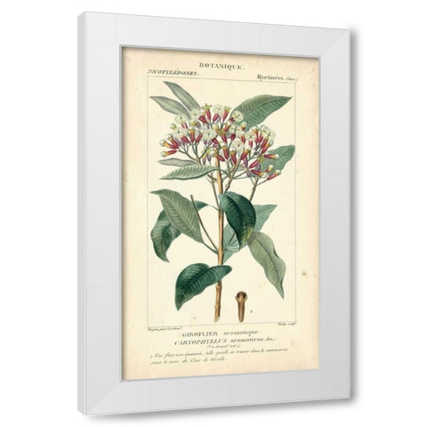 Botanique Study in Pink II White Modern Wood Framed Art Print by Turpin