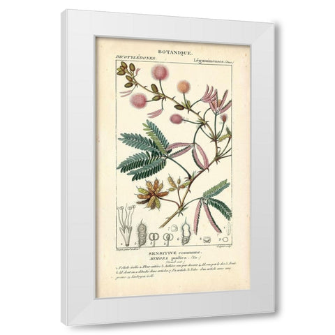 Botanique Study in Pink IV White Modern Wood Framed Art Print by Turpin