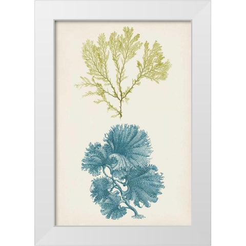 Aqua and Citron Coral I White Modern Wood Framed Art Print by Vision Studio