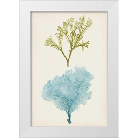 Aqua and Citron Coral II White Modern Wood Framed Art Print by Vision Studio