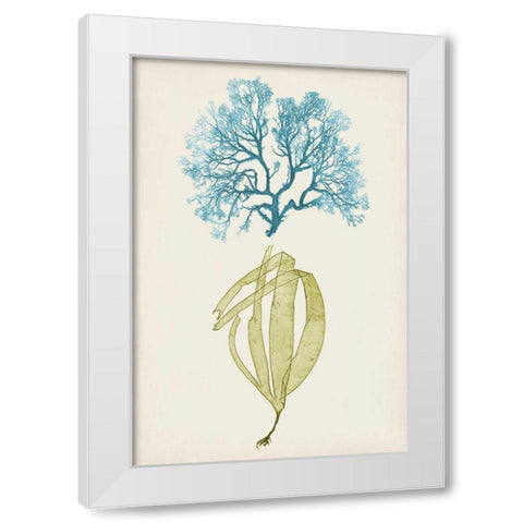 Aqua and Citron Coral IV White Modern Wood Framed Art Print by Vision Studio