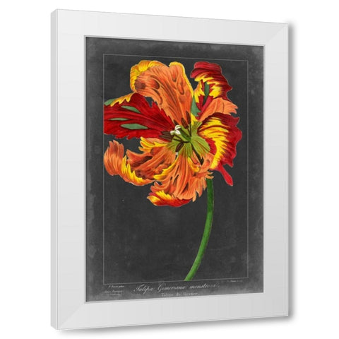 Midnight Tulip I White Modern Wood Framed Art Print by Vision Studio