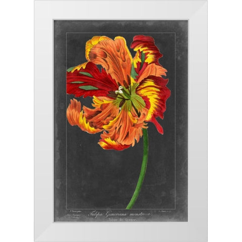 Midnight Tulip I White Modern Wood Framed Art Print by Vision Studio
