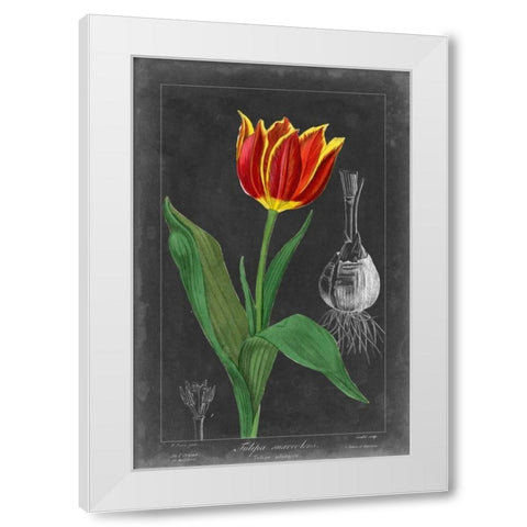 Midnight Tulip IV White Modern Wood Framed Art Print by Vision Studio