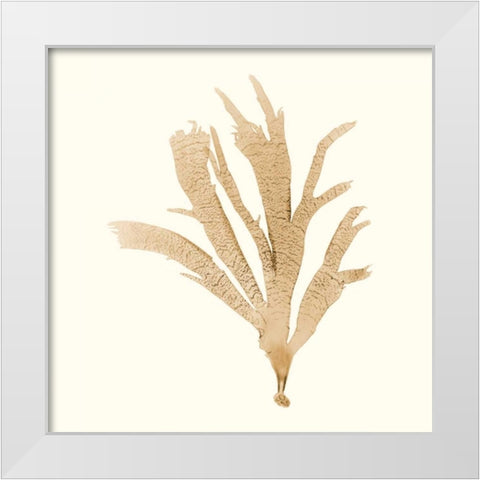 Seaweed Collection IV White Modern Wood Framed Art Print by Vision Studio