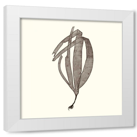Seaweed Collection V White Modern Wood Framed Art Print by Vision Studio