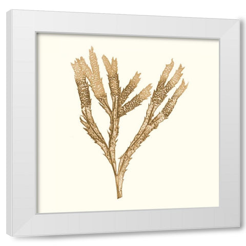 Seaweed Collection VIII White Modern Wood Framed Art Print by Vision Studio