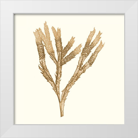 Seaweed Collection VIII White Modern Wood Framed Art Print by Vision Studio