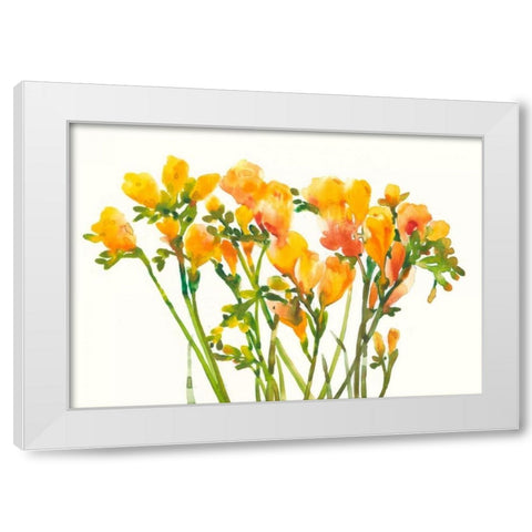 Freesia II White Modern Wood Framed Art Print by OToole, Tim