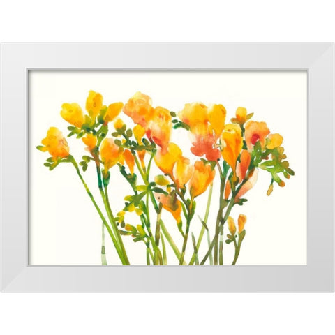 Freesia II White Modern Wood Framed Art Print by OToole, Tim