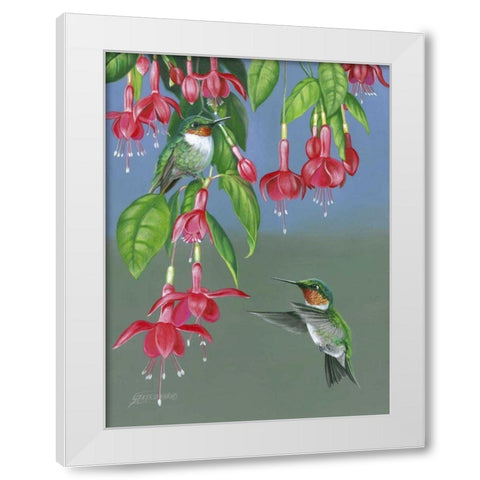 Hummers and Fuchsia White Modern Wood Framed Art Print by Szatkowski, Fred