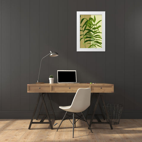 Painted Contrast Leaves II White Modern Wood Framed Art Print by Burghardt, James