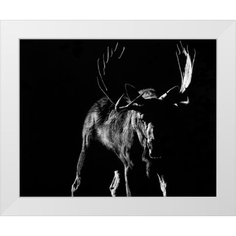 Bullish White Modern Wood Framed Art Print by Chapman, Julie