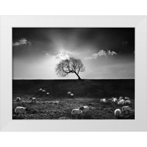 The Gathering White Modern Wood Framed Art Print by Henson, Martin