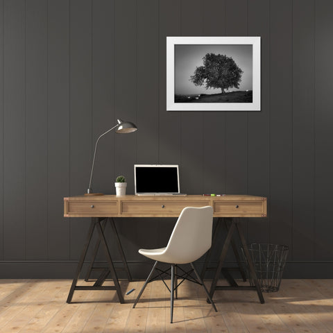 Evening Light I White Modern Wood Framed Art Print by Henson, Martin