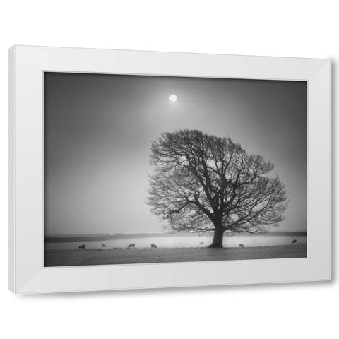 Evening Light II White Modern Wood Framed Art Print by Henson, Martin