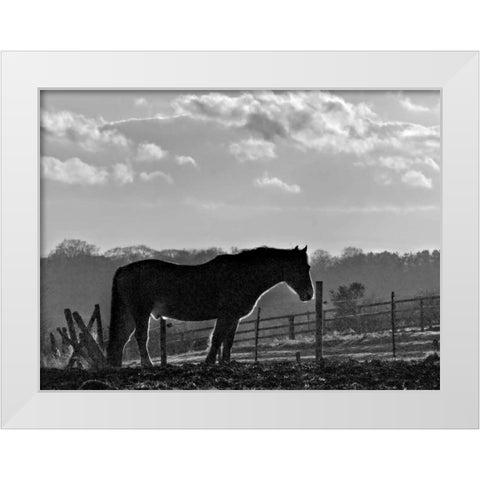Evening Light III White Modern Wood Framed Art Print by Henson, Martin