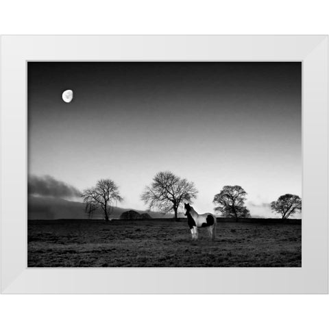 Evening Light IV White Modern Wood Framed Art Print by Henson, Martin
