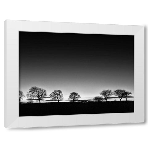Treeline Light White Modern Wood Framed Art Print by Henson, Martin