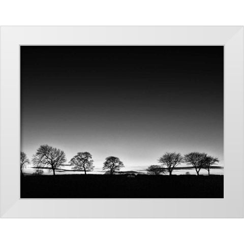 Treeline Light White Modern Wood Framed Art Print by Henson, Martin