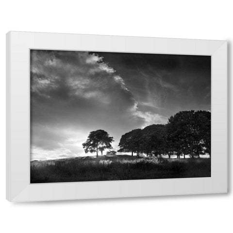 Touched by Sunlight White Modern Wood Framed Art Print by Henson, Martin