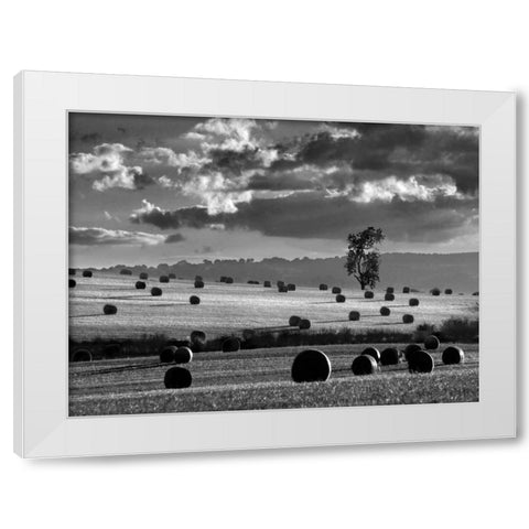 Rolls of Hay White Modern Wood Framed Art Print by Henson, Martin