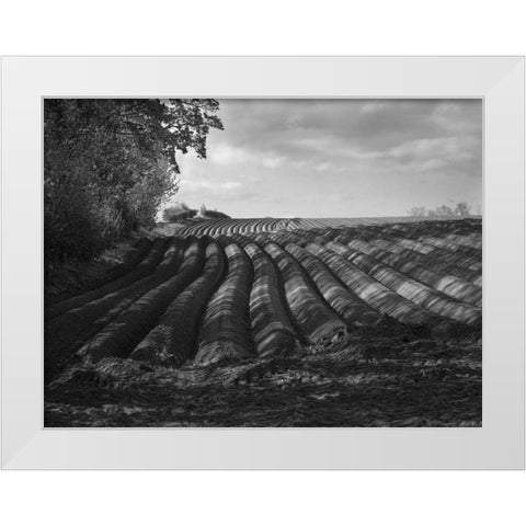 Furrows White Modern Wood Framed Art Print by Henson, Martin