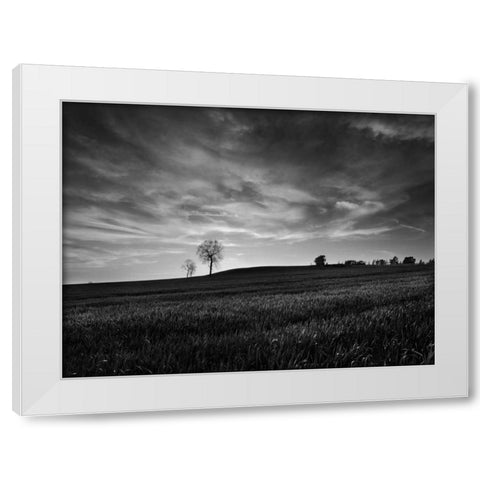 Black and White Sunset White Modern Wood Framed Art Print by Henson, Martin