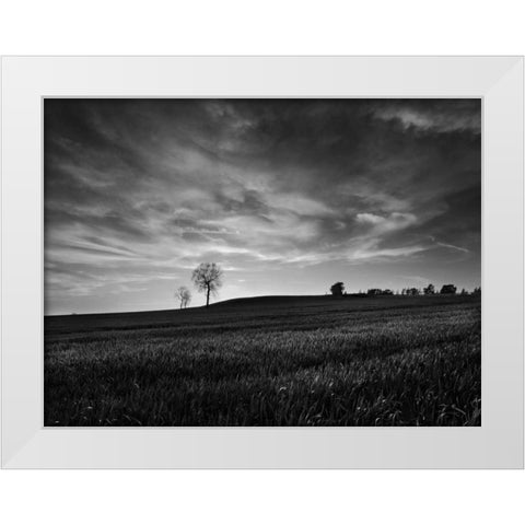 Black and White Sunset White Modern Wood Framed Art Print by Henson, Martin